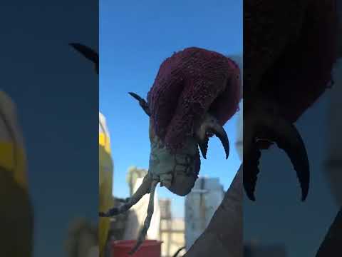 #StonecrabHatch #Stone #Crabs #Keys #Fishing 