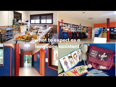 Part I What to Expect as an Auxiliar | Adjustments, Roles, Workload, Subjects and Class Materials