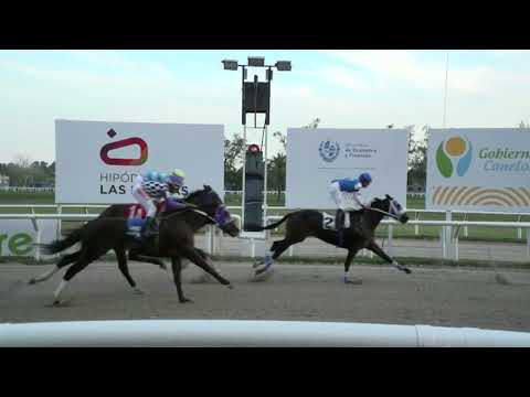 230602 C 10 - HAKUNA MATATA - HIPODROMO LAS PIEDRAS