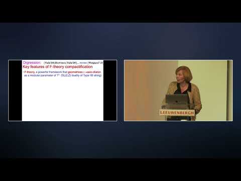 Mirjam Cvetic - Global Gauge Symmetry Constraints in Consistent Quantum Gravity