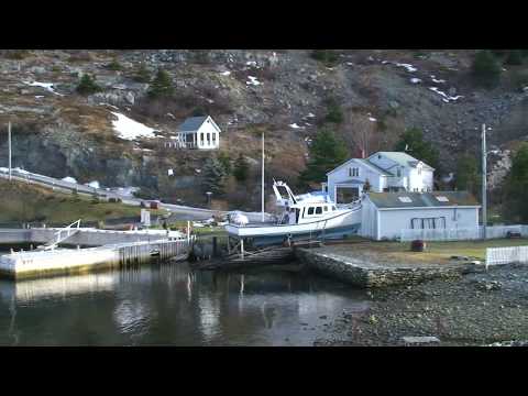 Newfoundland at Christmas