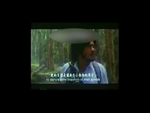 Трейлеры A Haunted Romance