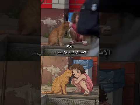 الانسان يشبه من يحب❤️‍🩹🦋 #ستوريات_انستا #اكسبلور