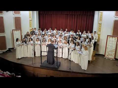 Sârba pe loc - Gheorghe Danga