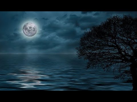 Wunschpartner Liebesorakel Männer-Analyse So denkt und fühlt er wirklich