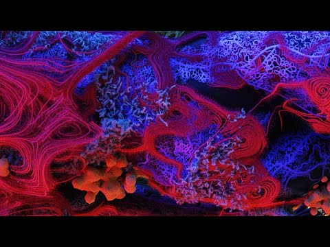 Masters Chapter 05 - Cosmogony | Y22/23