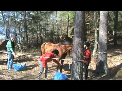 Hästeleverna på utflykt till Blanksjön