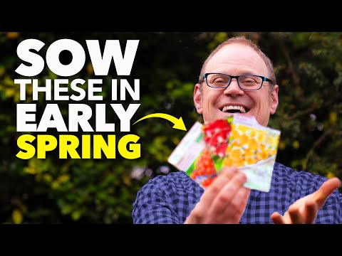 You Must Sow These Seeds in October