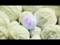Polvo - "Light, Raking"