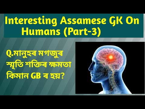 Interesting Assamese GK On Humans||PART-3||Assamsse GK On Human Body 2021|| Assamese Quiz 2021||