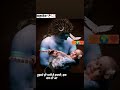 Mahadev Status Mahadev Instagram Story Mahadev Whatsapp Status Mahadev Mahakal ️