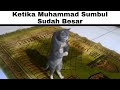 Ketika Muhammad Sumbul Sudah Besar Meme Random 11