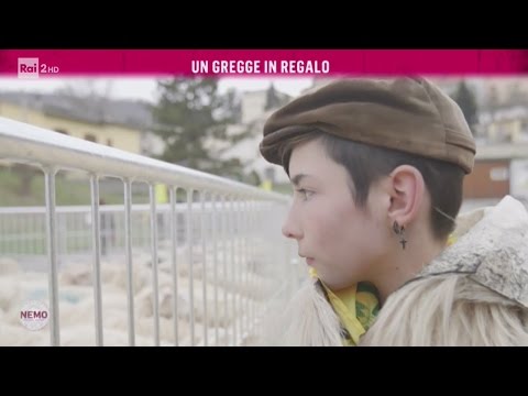 Un gregge in regalo - Nemo - Nessuno Escluso 13/04/2017