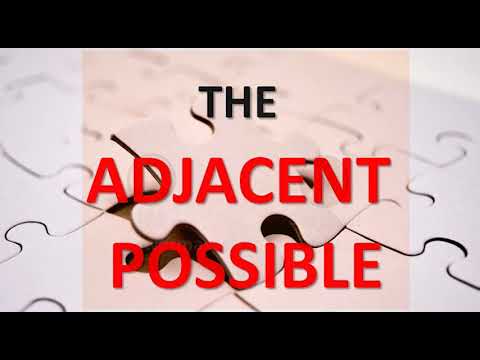 The Adjacent Possible