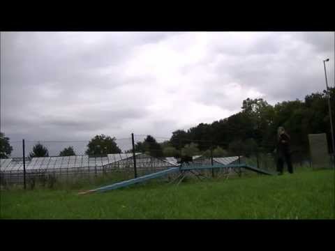 04SEP2015, KaamiFoundations - dogwalk, lesson2