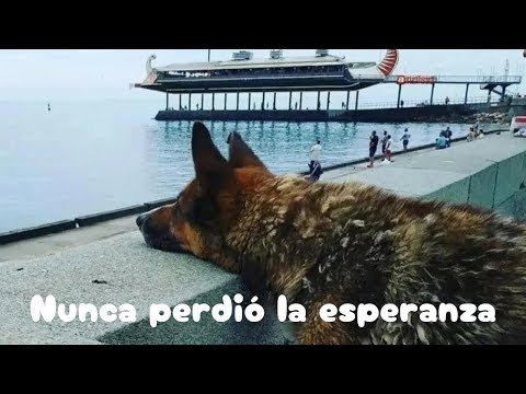 MURIO Huerfano. La HISTORIA de Mukhtar