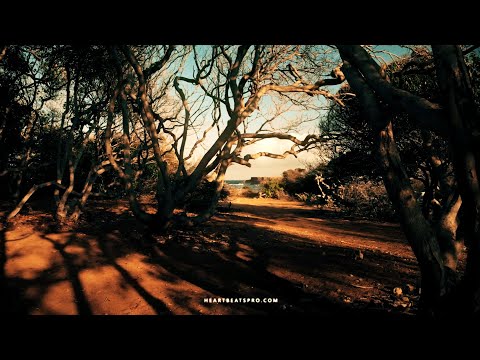 ZUMBI - HeartBeats Pro (Urban Kiz)