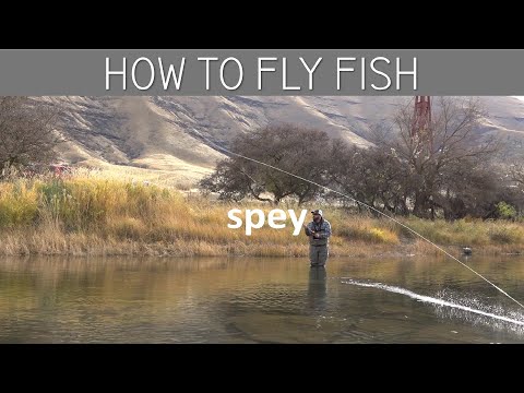 How to Fly Fish Spey Cast and Winter Sink Tips and Poly Leaders