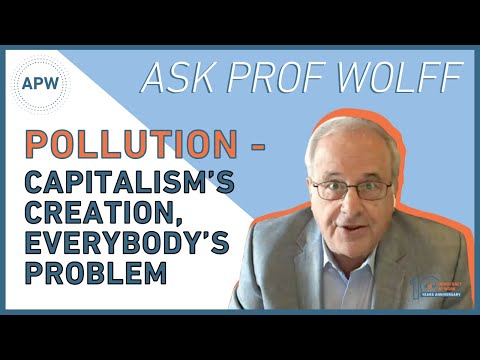 Ask Prof Wolff: Pollution - Capitalism’s Creation, Everybody’s Problem