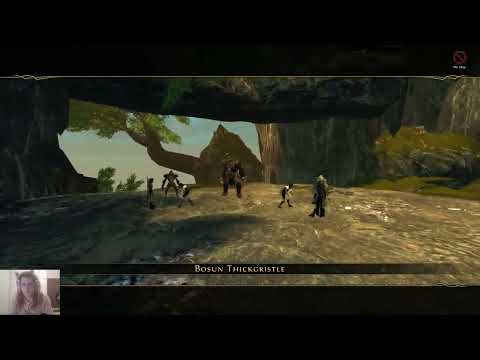 Neverwinter Online  Pirate King's Retreat Healer Lowdown