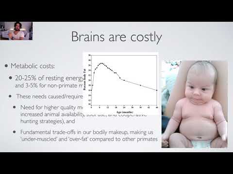 Lecture 6.1: The Social Brain Hypothesis: Intelligence is for friendship