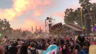 Cut Snake - Dirtybird Campout 2017 (Day 2)