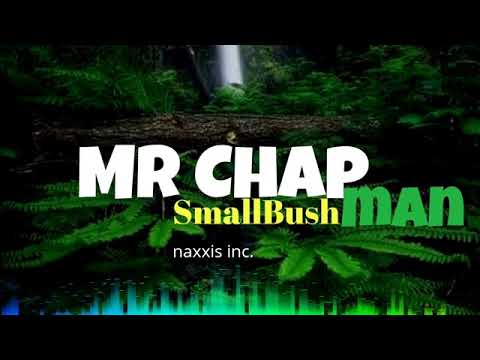 My Baby Oh - Smol Bushman ft. Mr Chapman (2021)