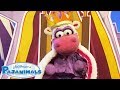 Queen For A Night Pajanimals Episode 3 Full Episodes Pajanimals