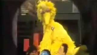 Sesame Street - I Just Adore Four in Reverse