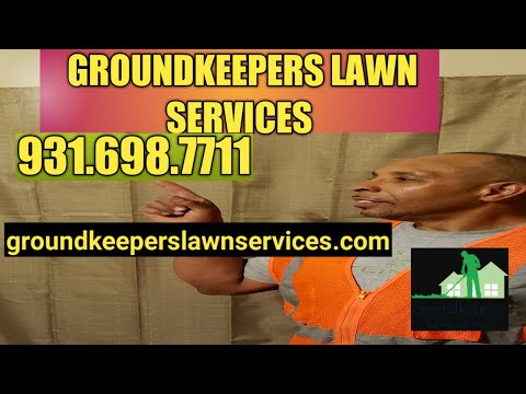 Best lawn care Spring Hill, Tn