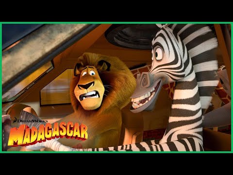 Uma perseguição de carro 🎬 🏎️ | Madagascar 3: Os Procurados | DreamWorks Madagascar em Português