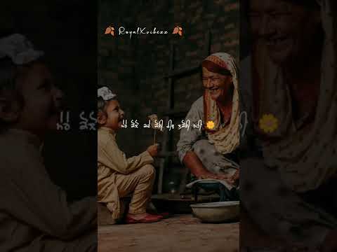 Maa♥️| Like for your mother 🥰 | Punjabi status Punjabi lyrical status| Mother's love | Punjabi songs