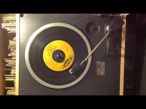 The Lonely One by Duane Eddy His Twangy Guitar And The Rebels — 1959 Hot 100 hit