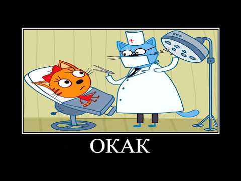 ПОПРОБУЙ НЕ ЗАСМЕЯТЬСЯ #39 😂 ТРИ КОТА