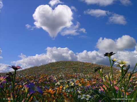 Shaheer Williams - Show Me (Shaheer's Soul Mix)