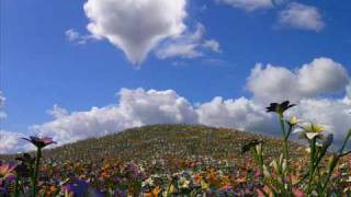 Shaheer Williams - Show Me (Shaheer's Soul Mix)
