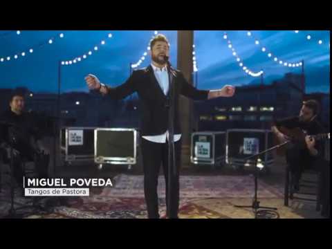 Miguel Poveda (Tangos de Pastora)
