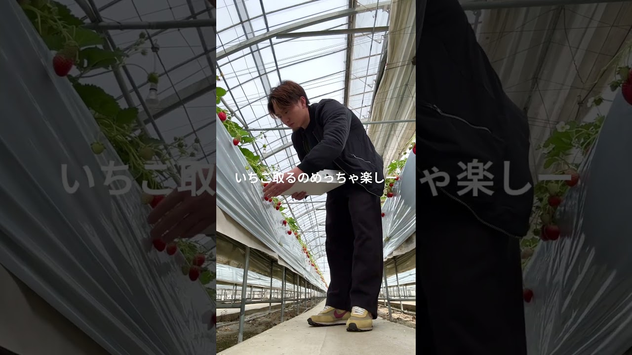 犬とピラティスと筋トレ#ピラティス#福岡ピラティス#福岡ピラティススタジオ#ピラティスインストラクター