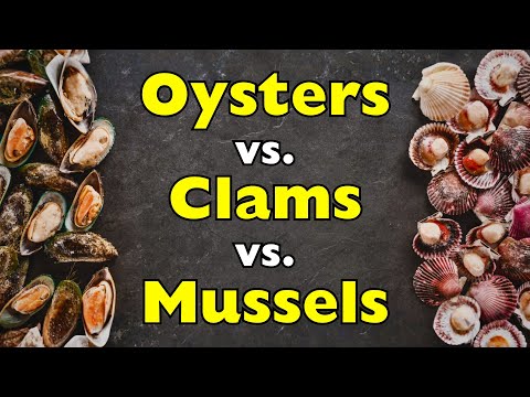 Oysters vs. Clams vs. Mussels: What’s the Real Difference? [ID0712]