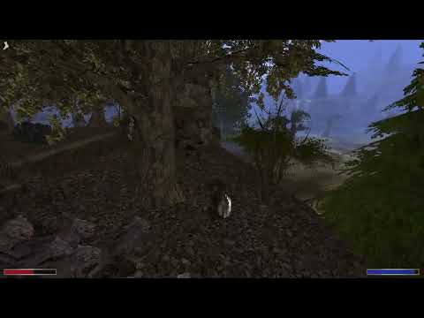 Kroniki Myrtany - Ruiny Vardhal