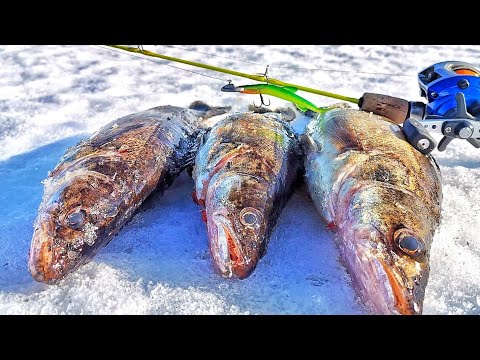 KUHAN KEVÄT PILKINTÄÄ | JUUSO & IIRO KALASTAA | JIGIPILKINTÄ | KALASTUS | ORKA SMALL FISH 10