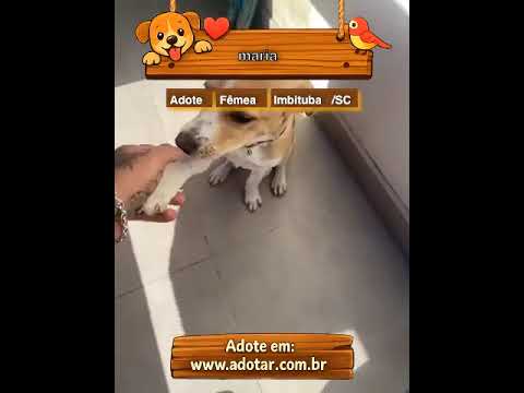Vídeo de maria