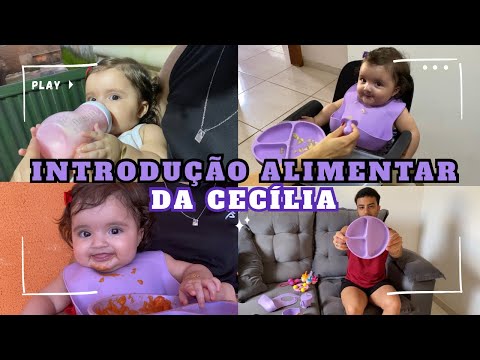 INTRODUÇÃO ALIMENTAR DA CECÍLIA | FIM DE SEMANA EM TEREZÓPOLIS DE GOIÁS | MOSTRAMOS TODOS DETALHES💜