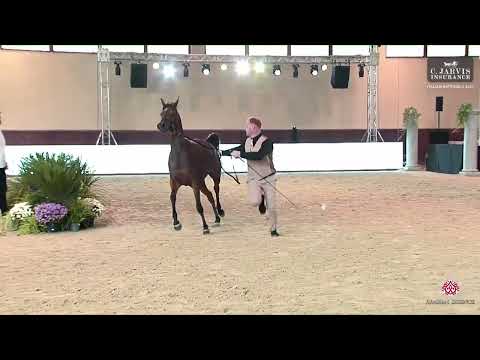 N 29 NEMESIS REGALIS   Italian Nationals 2023   Fillies 3 Years Old Class 3