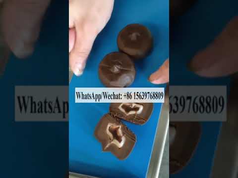 4 hopper stuffing machine for chocolate pie Samurai Milk Cranberry Cookies Encrusting Machine