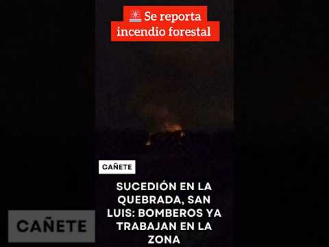 Incendio forestal reportado en La Quebrada, San Luis: bomberos ya trabajan en la zona