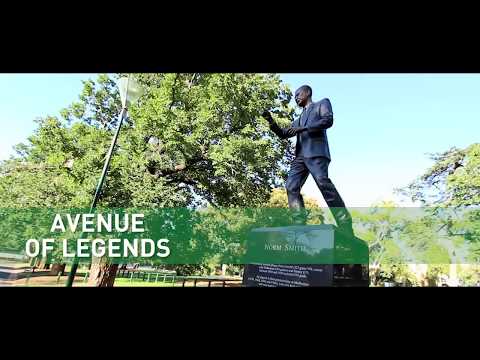 Exploring Melbourne’s sporting heart - the MCG and National Sports Museum