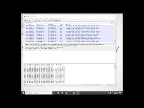 Cisco CCNA 7.0 ENSA DNS lab 3.8.8