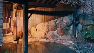 A Night at Shiunso Ryokan (Hakone, Japan) – Full Review & What It Cost Us