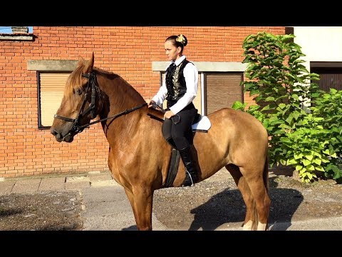 Dužijanca 2018 - Polazak ispred Crkve sv. Roke - 12. Avgust 2018.